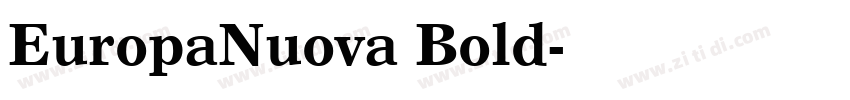 EuropaNuova Bold字体转换